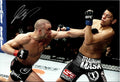Georges St-Pierre Autograph